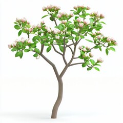 Beautiful Blossom Tree with Pink Flowers and Green Leaves on a White Background