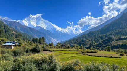 Naklejka premium Majestic Himalayan Valley Scenery