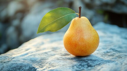 A single pear with vibrant leaf.