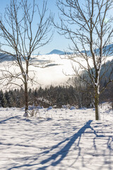 Snowy trees in the foreground of the winter misty landscape at sunny day. The Orava region in north of Slovakia, Europe.