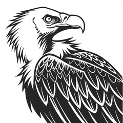 Fototapeta premium Vulture isolated logo