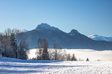 Fototapeta premium Snowy winter landscape in a misty sunny morning. The Mala Fatra national park in northwest of Slovakia, Europe.