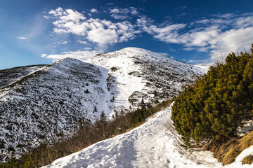 Snowy mountain trail on a sunny day. The Mala Fatra national park in northwest of Slovakia, Europe.