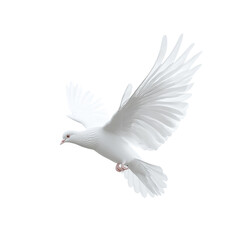 Obraz premium A white dove in flight soaring gracefully symbolizing peace hope and purity