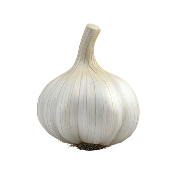 Single bulb of garlic isolated on black background showing its creamy white color and intricate texture a culinary delight