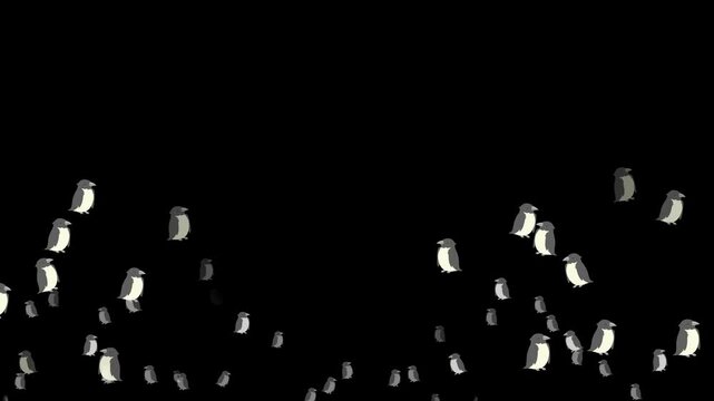 penguin, emoji, animated, animal, cute, icy, cold, winter, snow, flightless, motion, character, icon, symbol, funny, happy, playful, waddling, cold weather, ice, penguin face, adorable, animation, ani