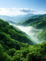 Breathtaking green valley with misty mountains.