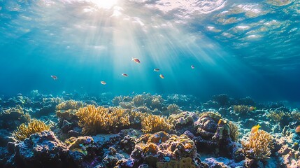 Naklejka premium Underwater scene with coral and fish.