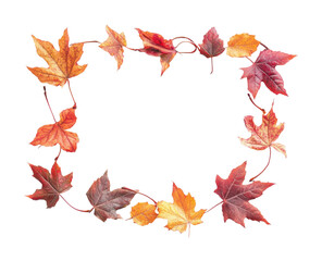 Autumnal leaves create a vibrant frame highlighting seasonal colors and textures in nature's artwork. Isolated on transparent background, png.
