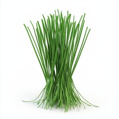 Fresh Vibrant Green Chives Bunch Isolated on White Background for Culinary and Gardening Use