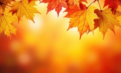 Vibrant autumn leaves against a blurred background