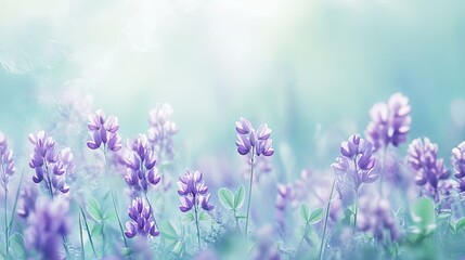 Obraz premium Delicate Purple Flowers in a Pastel Meadow