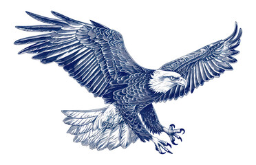 PNG Hand drawn a Eagle eagle drawing wings.