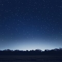 Serene Night Sky with Stars Above Dark Forest and Field