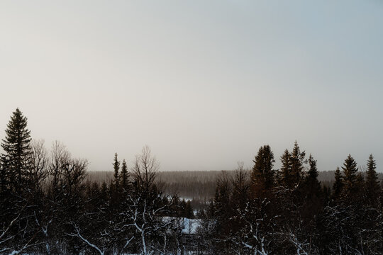 Winter Landscape at Venebygd Fjell Near Ringebu, Norway