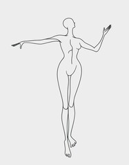 human anatomy drawing, medical illustration