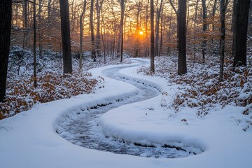 Obraz premium Serene Winter Forest at Sunset with Snow-Covered Stream