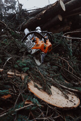 chainsaw on a pile of branches
