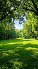 Lush green landscape under clear blue sky.