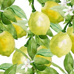 Lemon seamless pattern. Watercolor. illustration in white and color background.