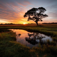 Obraz premium Scenic sunset over a tranquil water body.