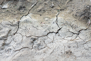 Photo of cracks in the ground caused by drying mud.