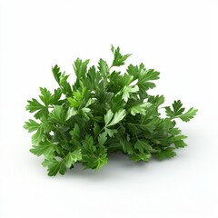 Fototapeta premium Fresh Green Parsley Bunch on White Background Ideal for Culinary, Diet, and Healthy Food Themes