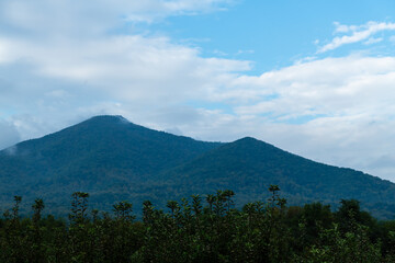 Fototapeta premium Landscape views from the winery