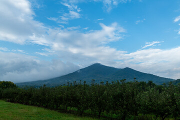 Landscape views from the winery