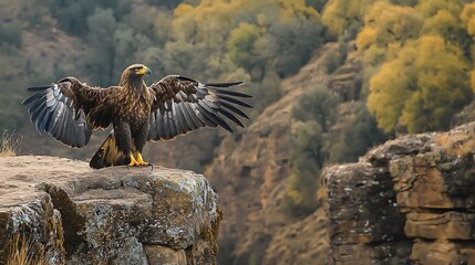 Majestic eagle perched on a rocky ledge.