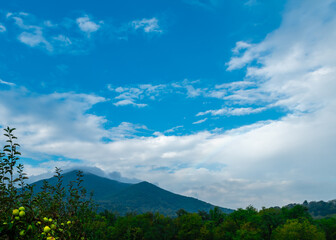 Landscape views from the winery