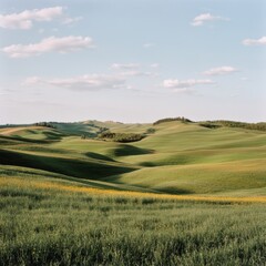 Obraz premium Rolling green hills stretch under a blue sky, dappled with soft white clouds, creating a serene and expansive pastoral landscape.