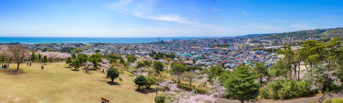 Panoramic view of Hitachi City, Ibaraki Prefecture, Japan