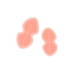 Tetracoccus Bacteria Illustration 