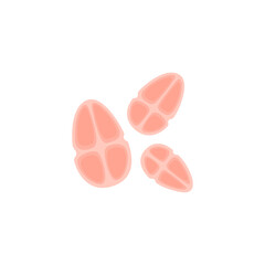 Tetracoccus Bacteria Illustration 
