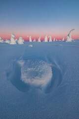 landscape with snow