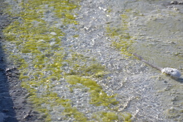 icy river flowing thru the snowy meadow