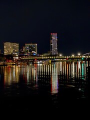 Fototapeta premium Night city panorama over the river