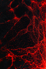 Interconnected Nodes Illuminated in Vibrant Red Tones Create a Mesmerizing Abstract Representation of Intricate Networks