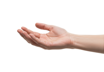 An open human hand with fingers gently curved, palm facing upward, isolated on a white background