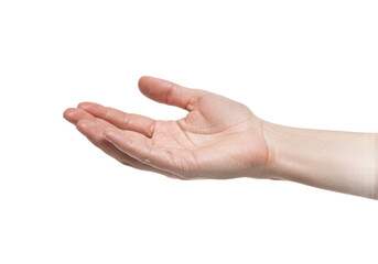 An open human hand with fingers gently curved, palm facing upward, isolated on a white background