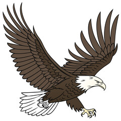 Bald american eagle isolated