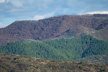 Fototapeta premium Green hills and mountain landscape around Berat, Albania