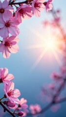 Fototapeta premium soft pink cherry blossoms blooming on a branch illuminated by warm sunlight against a serene blue sky, concept of natural beauty and tranquility for travel, wellness, and floristry industries