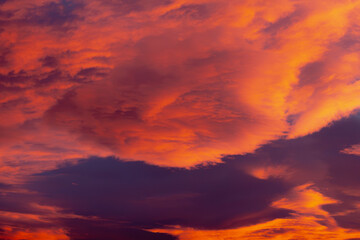 Golden Sky 15