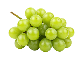 Small bunch of green grapes, isolated on white background, angled view, no depth of field, sharp