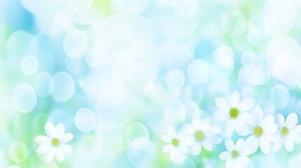 Fototapeta premium Delicate White Flowers in Soft Blue Bokeh Background