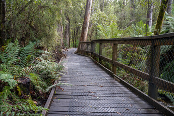 boardwalk in a national park in australia