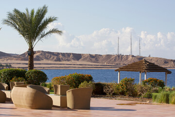 Relax on the beach with umbrellas and sun loungers