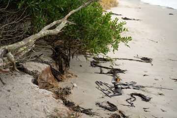 coastal erosion on a beach in australia